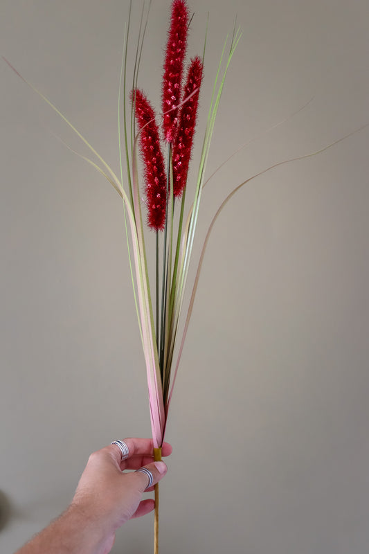 Ruby Triple Grass Stem