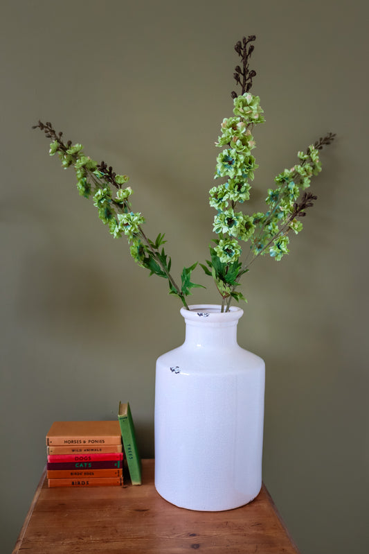 Tall Green Hops Stem