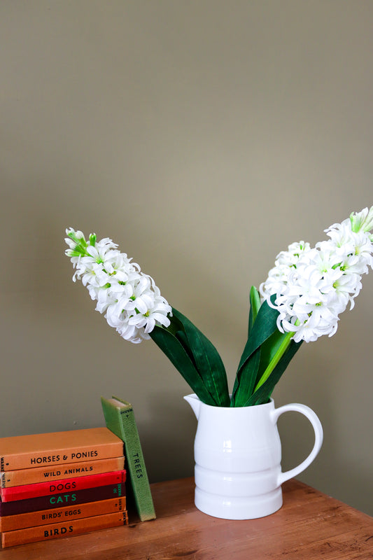 White Hyacinth Stem