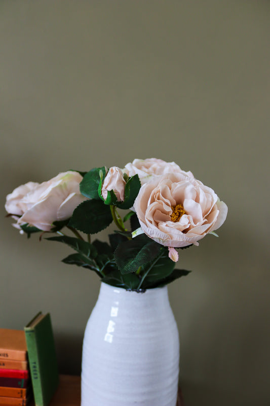 Palest Blush Charity Rose