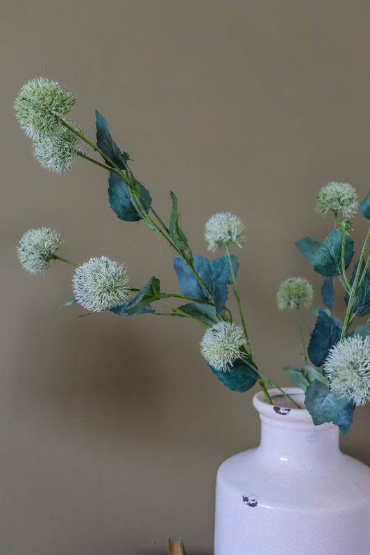Thistle Globe Stem