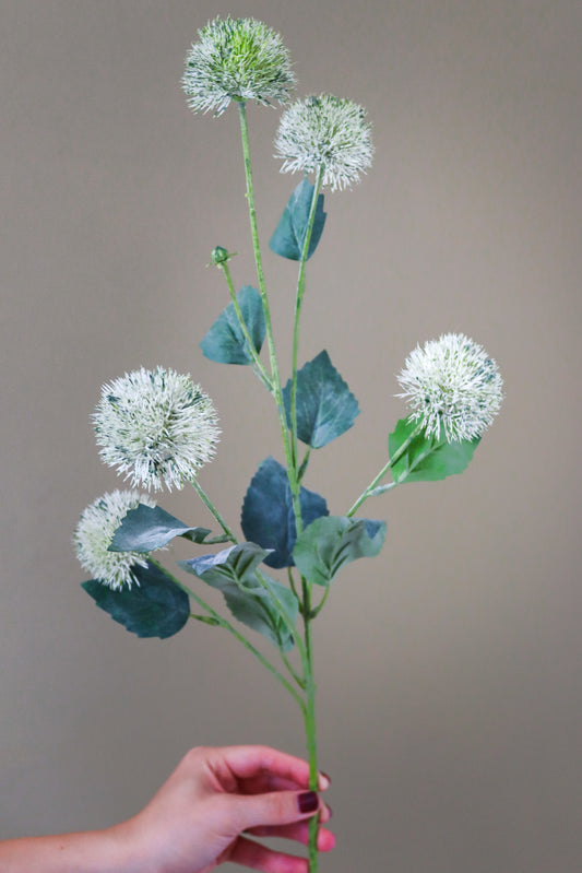 Thistle Globe Stem