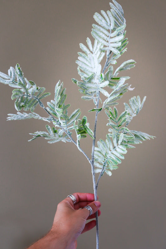 Large Bracken Fern Spray