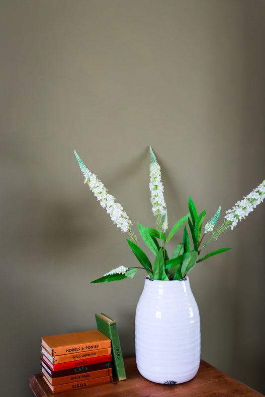 White Veronica Stem