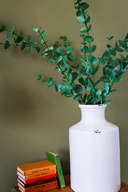 Large Cineraria Eucalyptus Spray