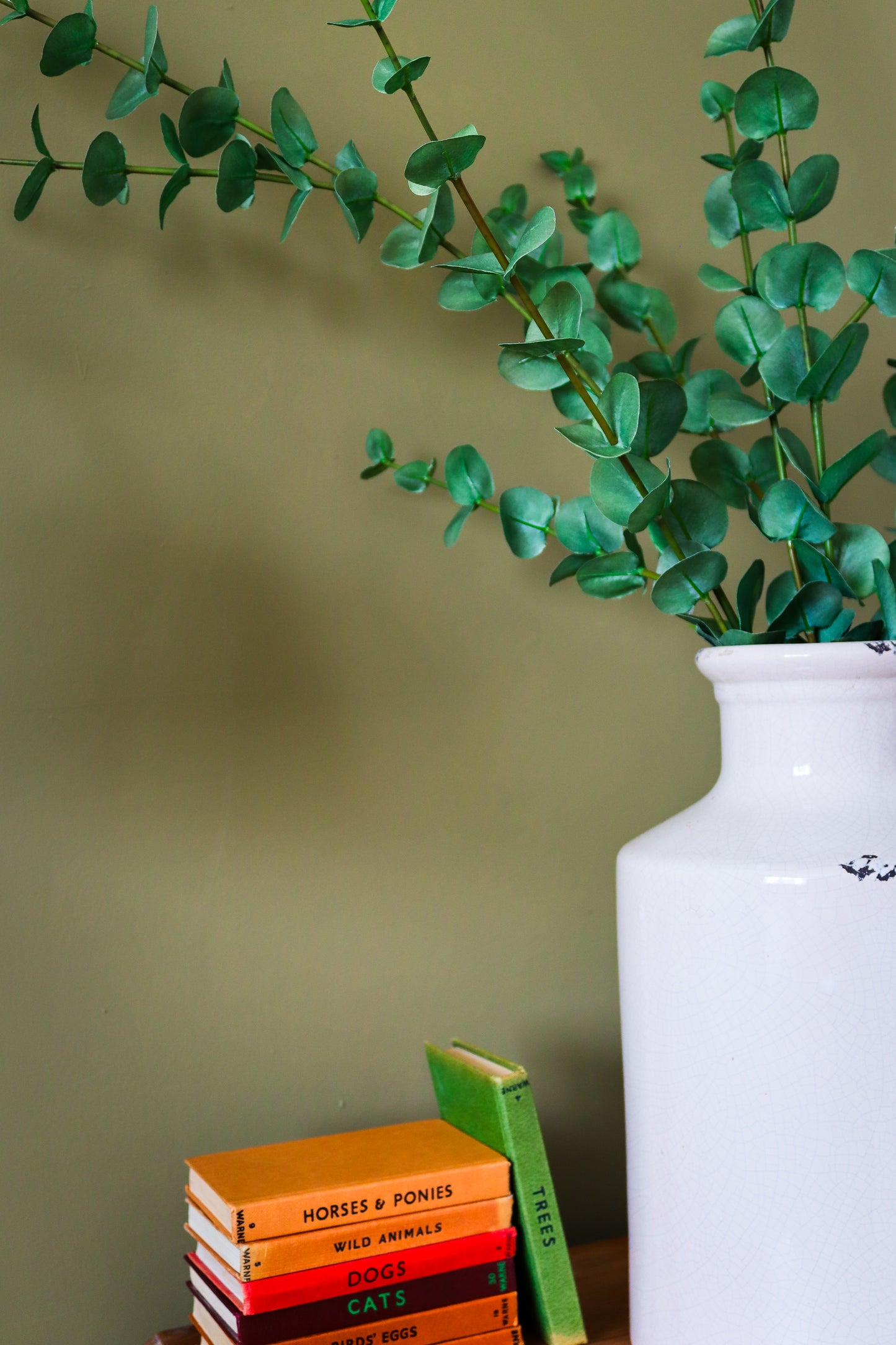 Large Cineraria Eucalyptus Spray