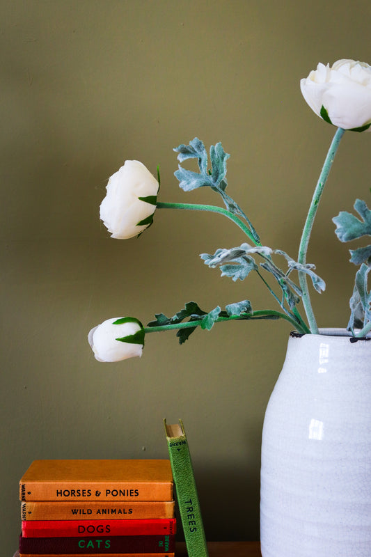 Soft Cream Ranunculus Stem