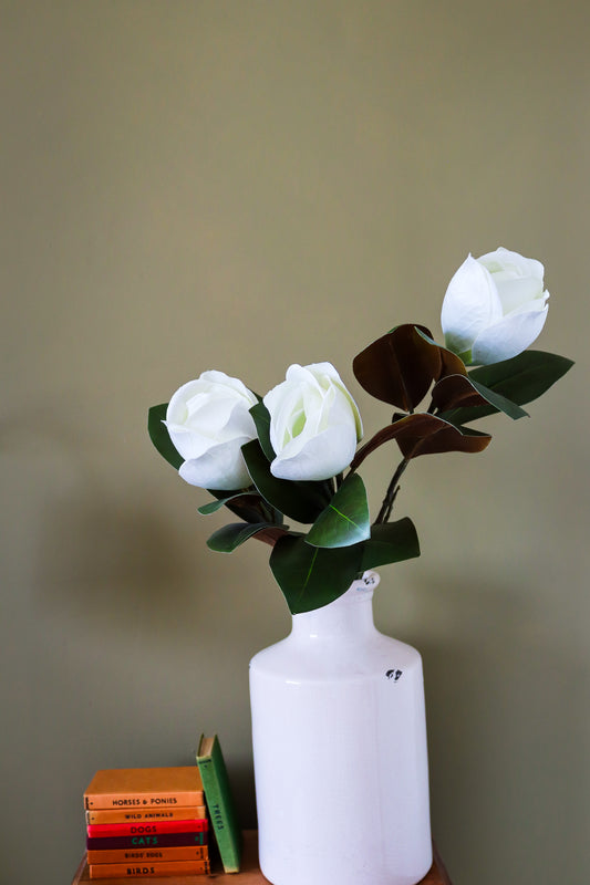 White Magnolia Stem