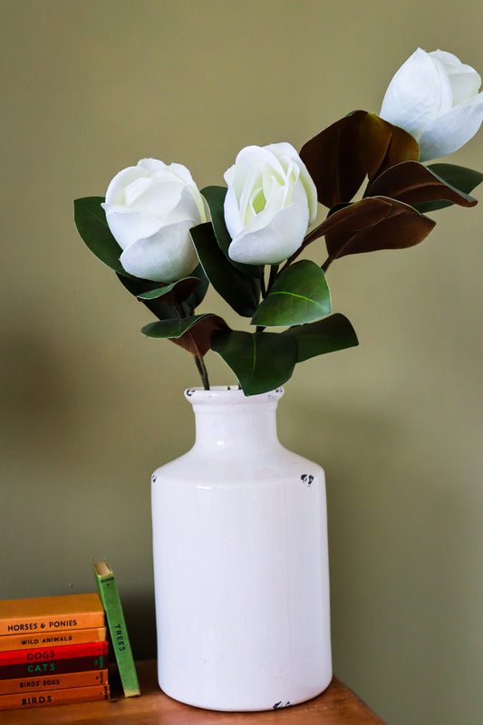 White Magnolia Stem