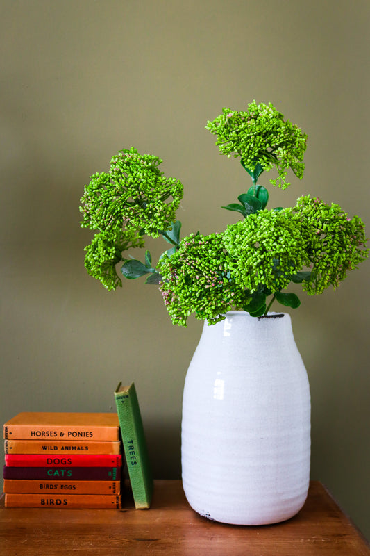 Green Sedum Spray