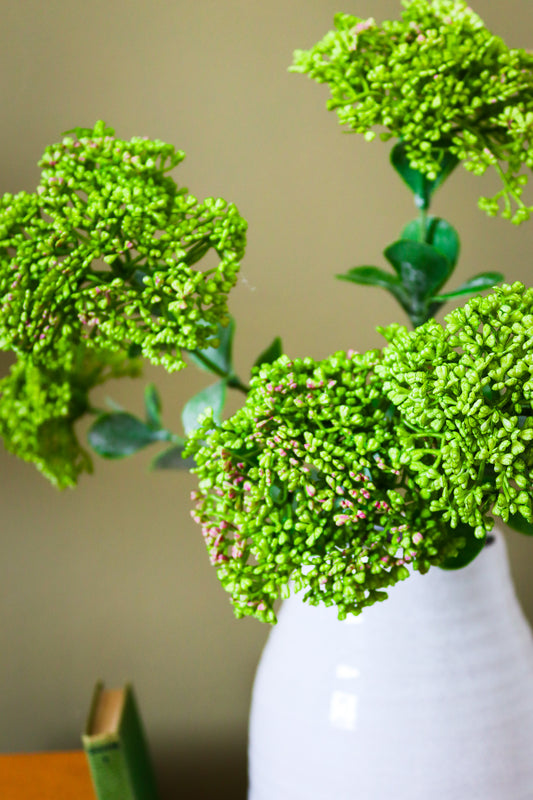 Green Sedum Spray