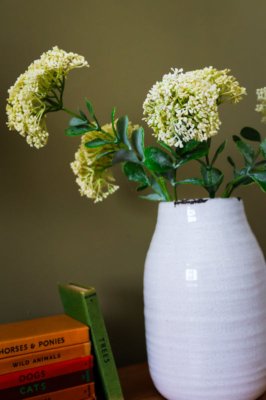 Cream Sedum Spray
