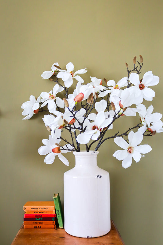 White Magnolia Stem