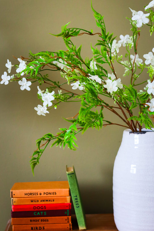 Italian White Bellflower