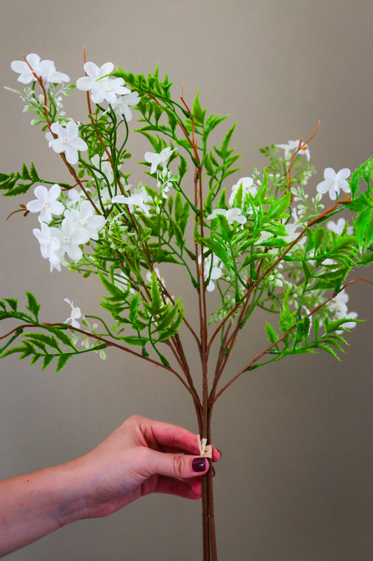 Italian White Bellflower