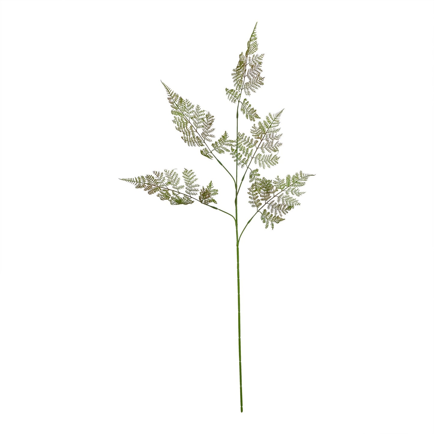 Large Bracken Fern Spray