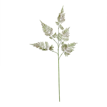 Large Bracken Fern Spray