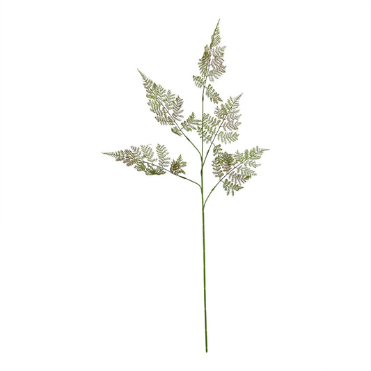 Large Bracken Fern Spray