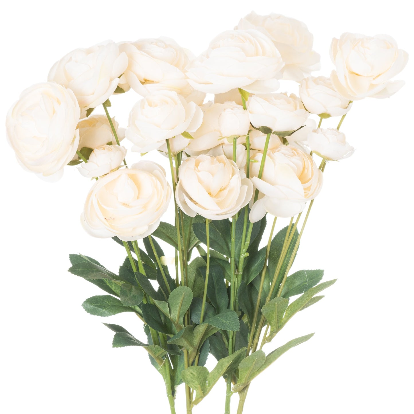 Cream Ranunculus Stem