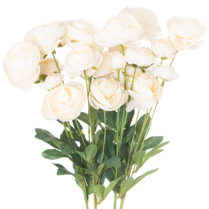 Cream Ranunculus Stem