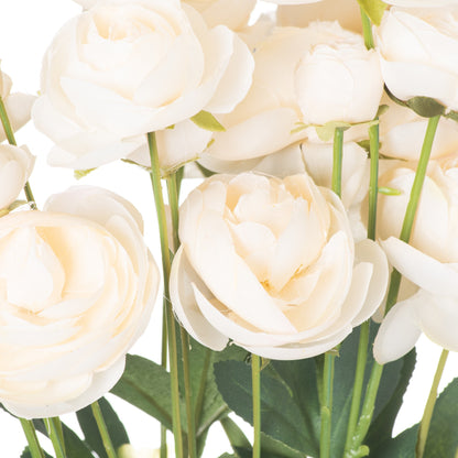 Cream Ranunculus Stem