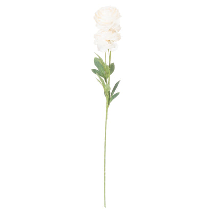 Cream Ranunculus Stem