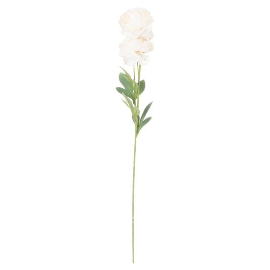Cream Ranunculus Stem