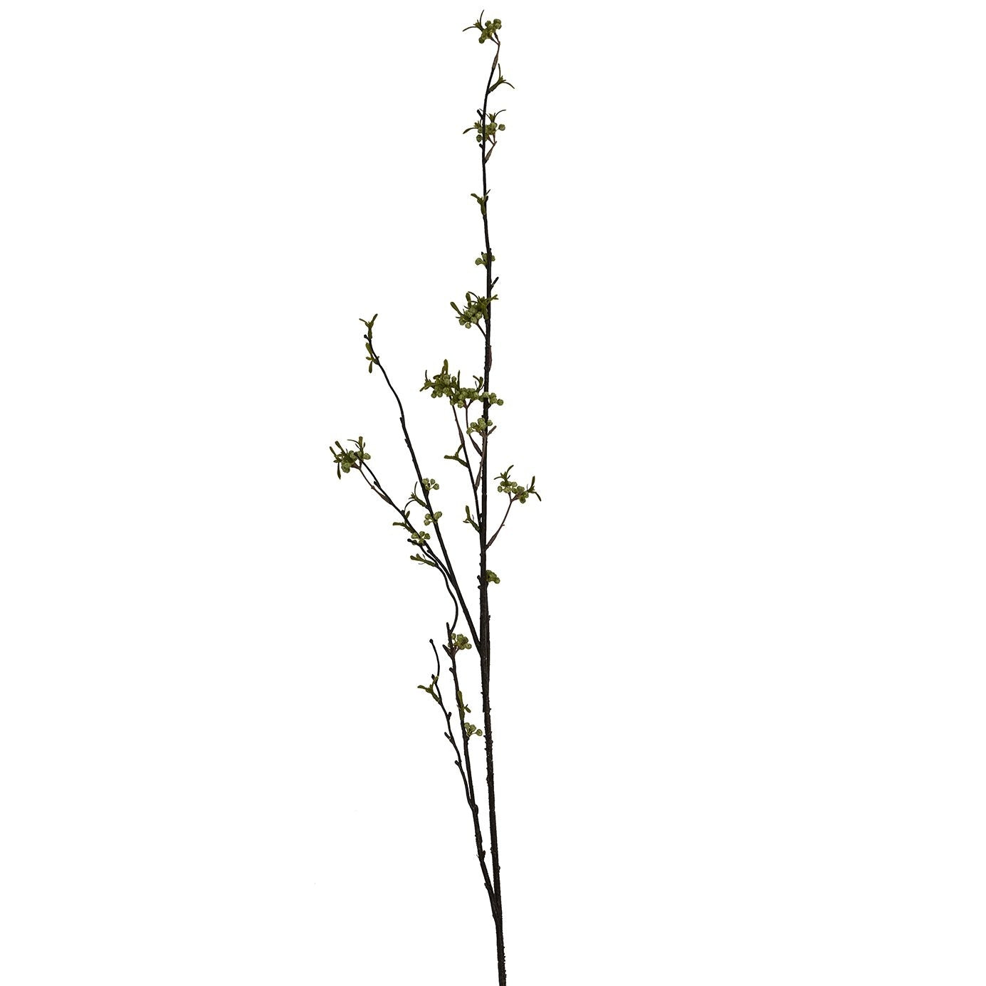 Green Berry Willow Stem