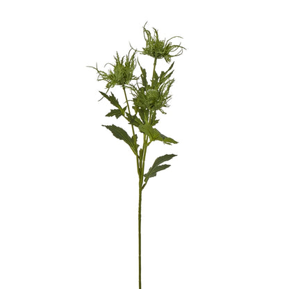 Green Sea Holly Spray