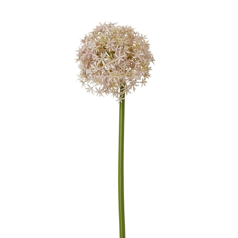 Lilac Medium Allium Stem