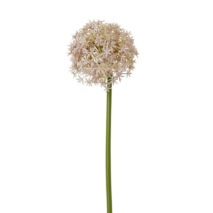 Lilac Medium Allium Stem