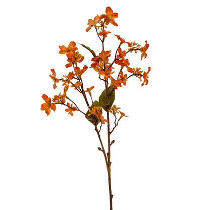 Orange Vernicia Fordii Spray