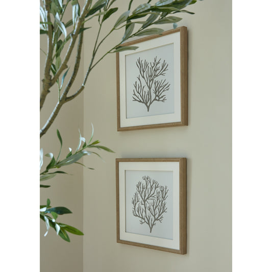 Atol Coral Art Mounted In Beaded Frame