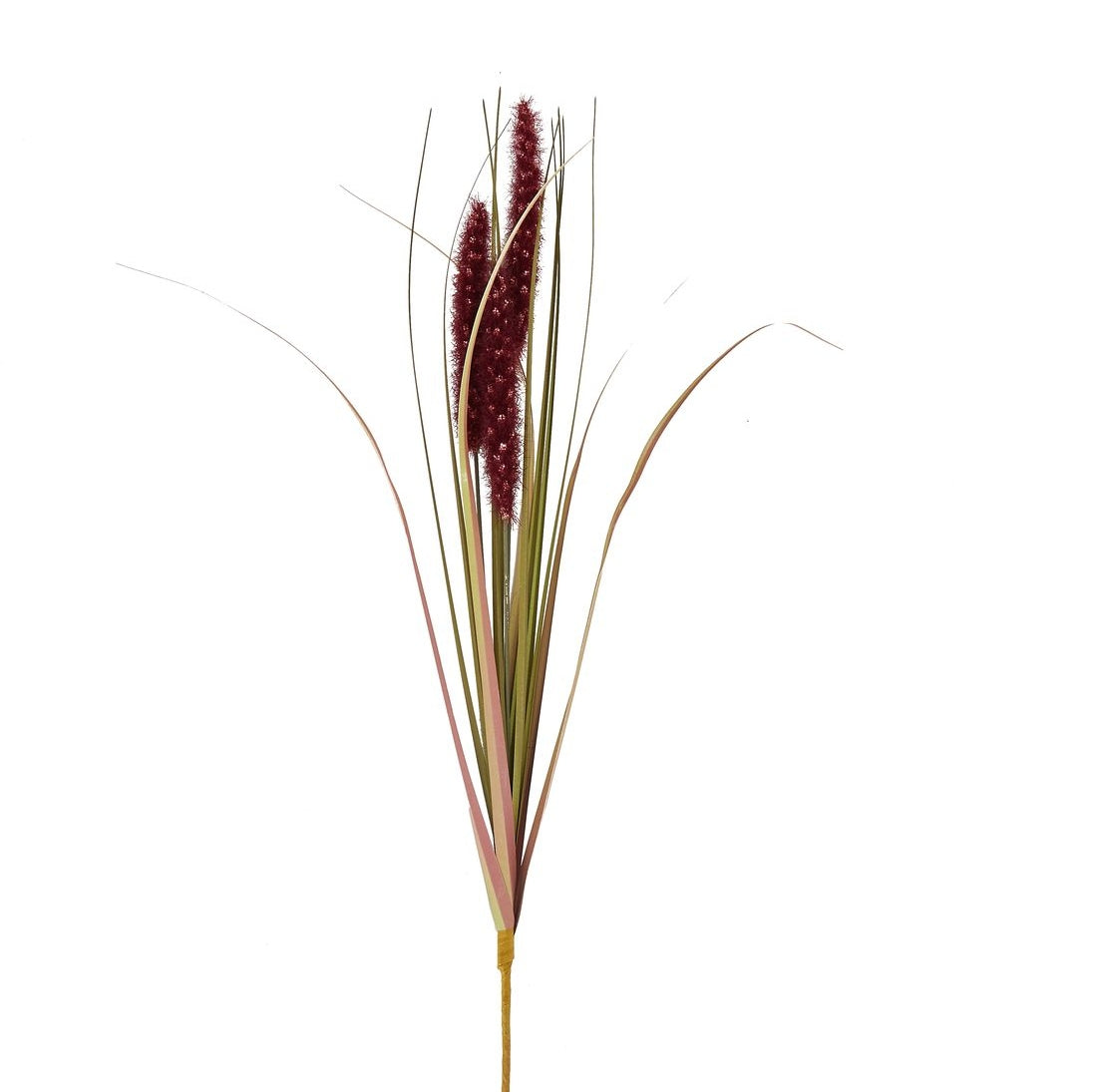 Ruby Triple Grass Stem