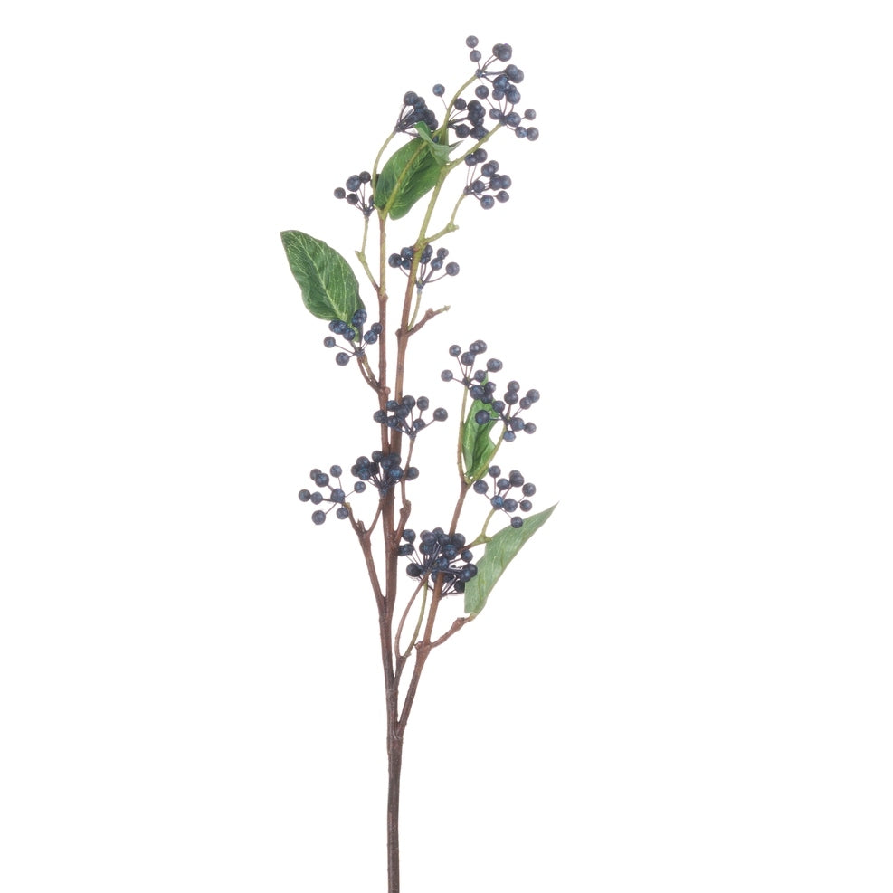 Viburnum Berry