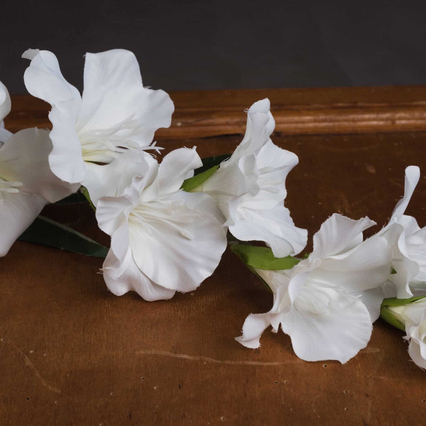 White Gladioli Stem image 2