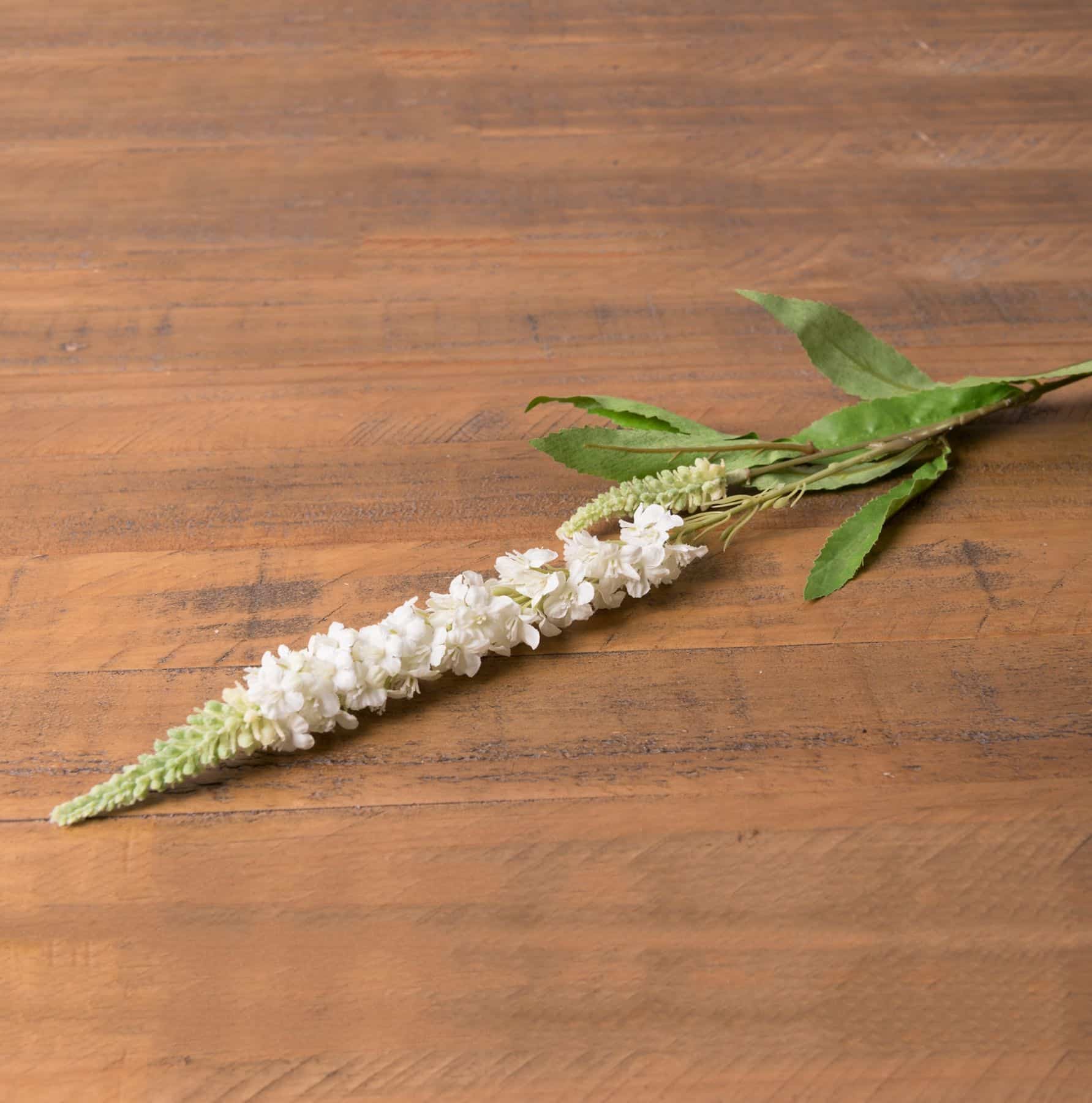 White Veronica Stem image 0