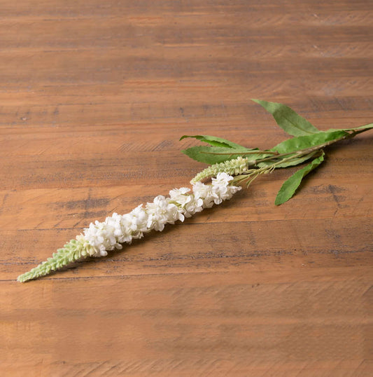 White Veronica Stem image 0