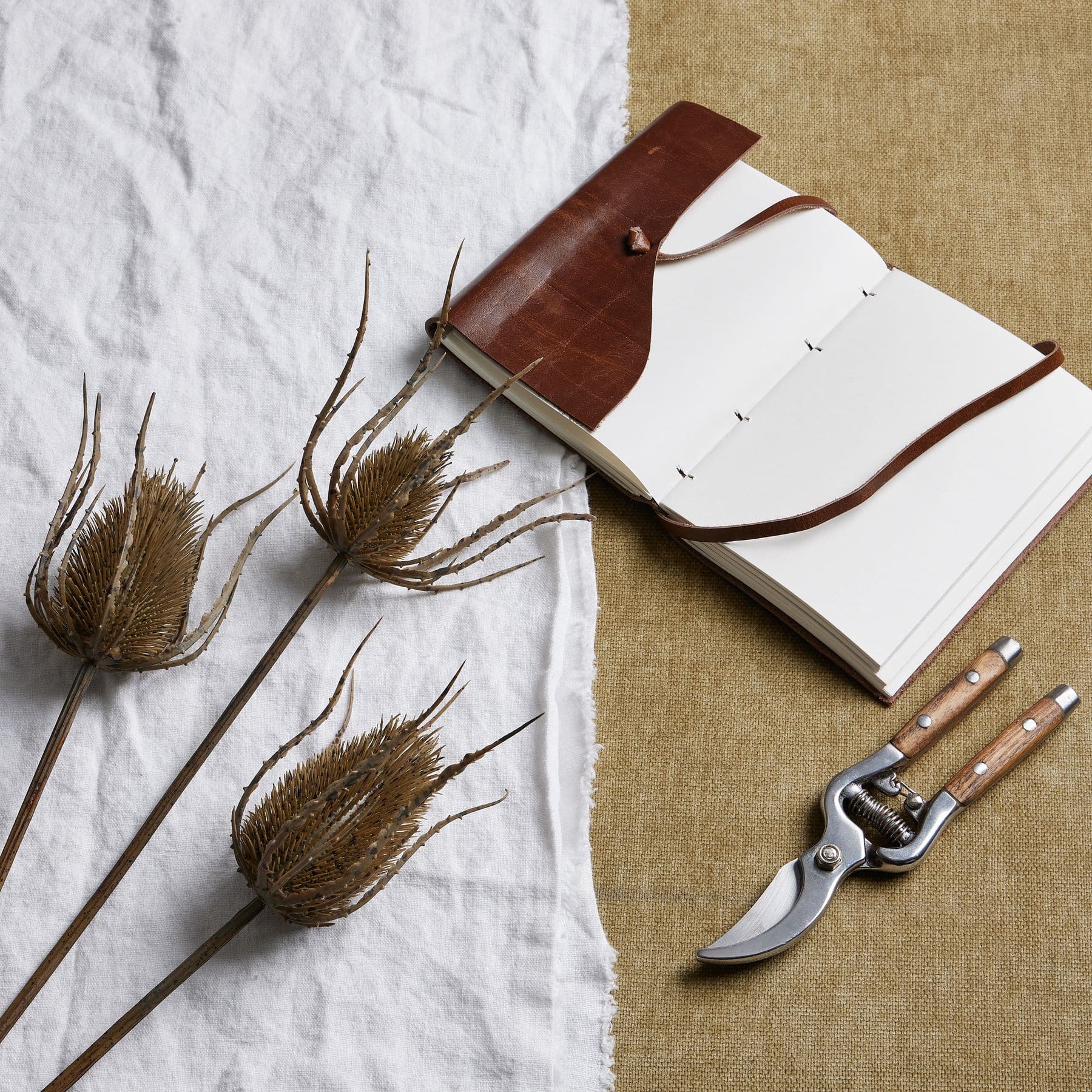 Large Brown Triple Teasle Stem image 1