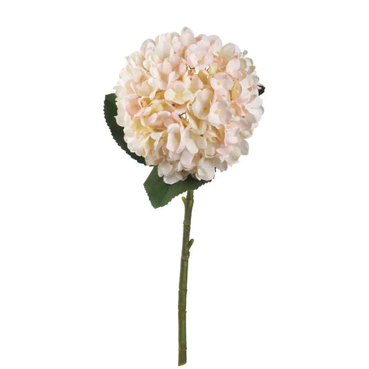 Autumn White Hydrangea