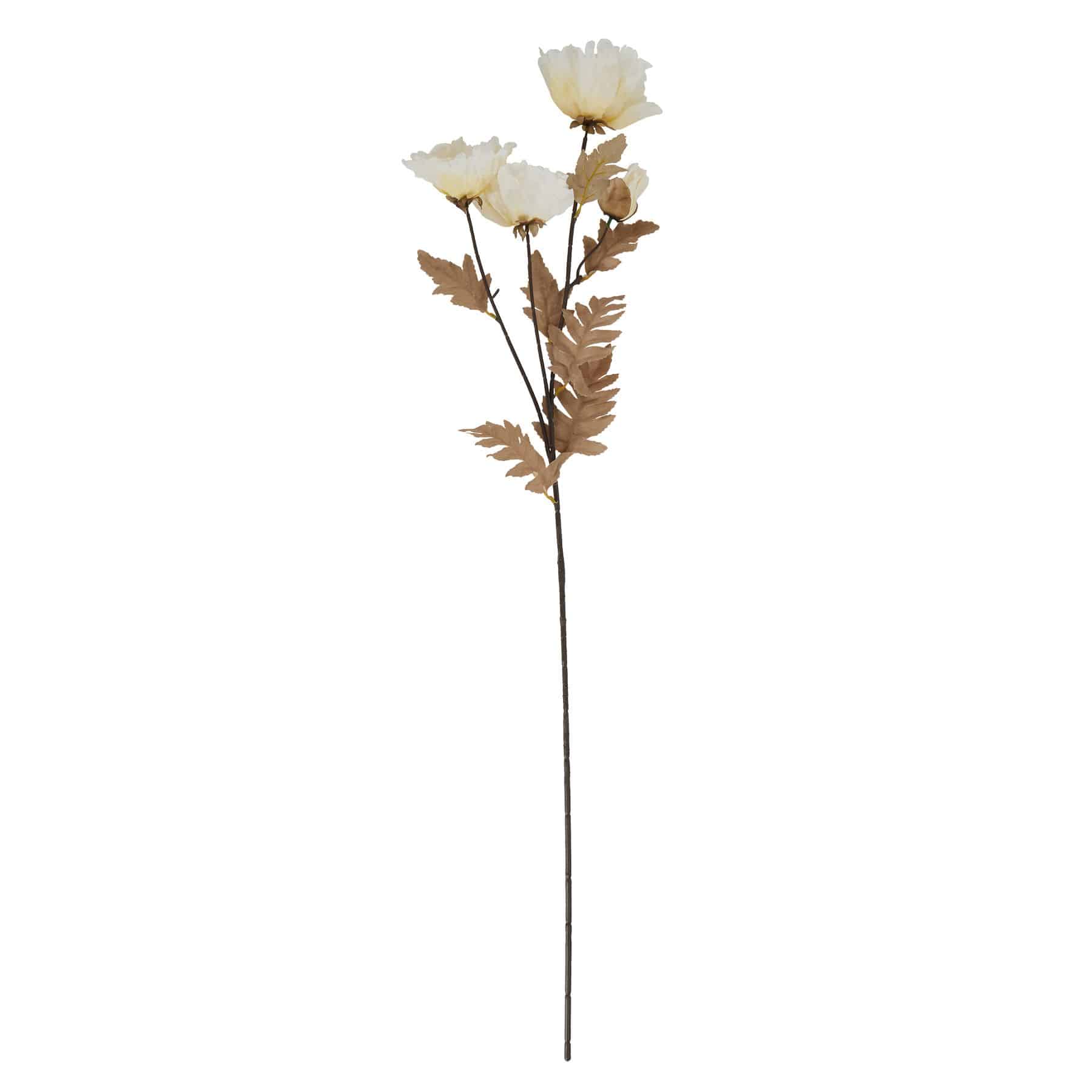 Large White Poppy Stem image 0