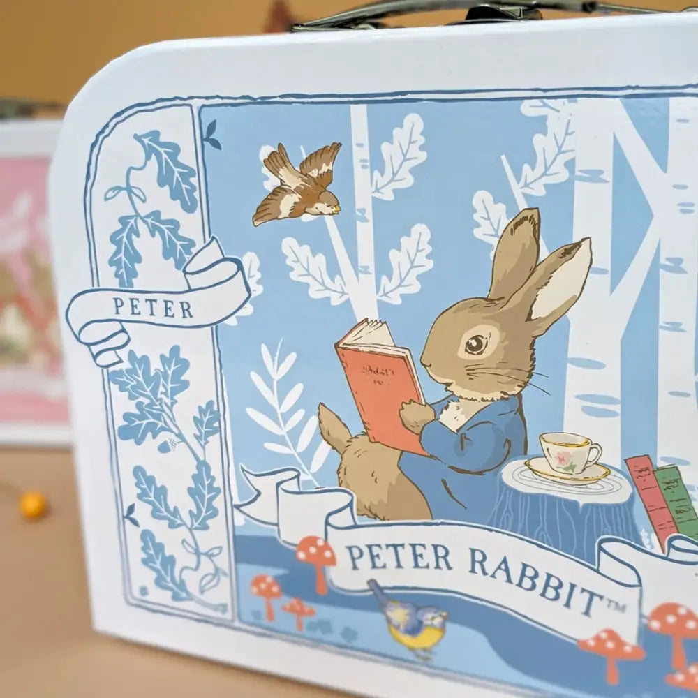 Beatrix Potter Carry Case Triple Set - 3 Sizes