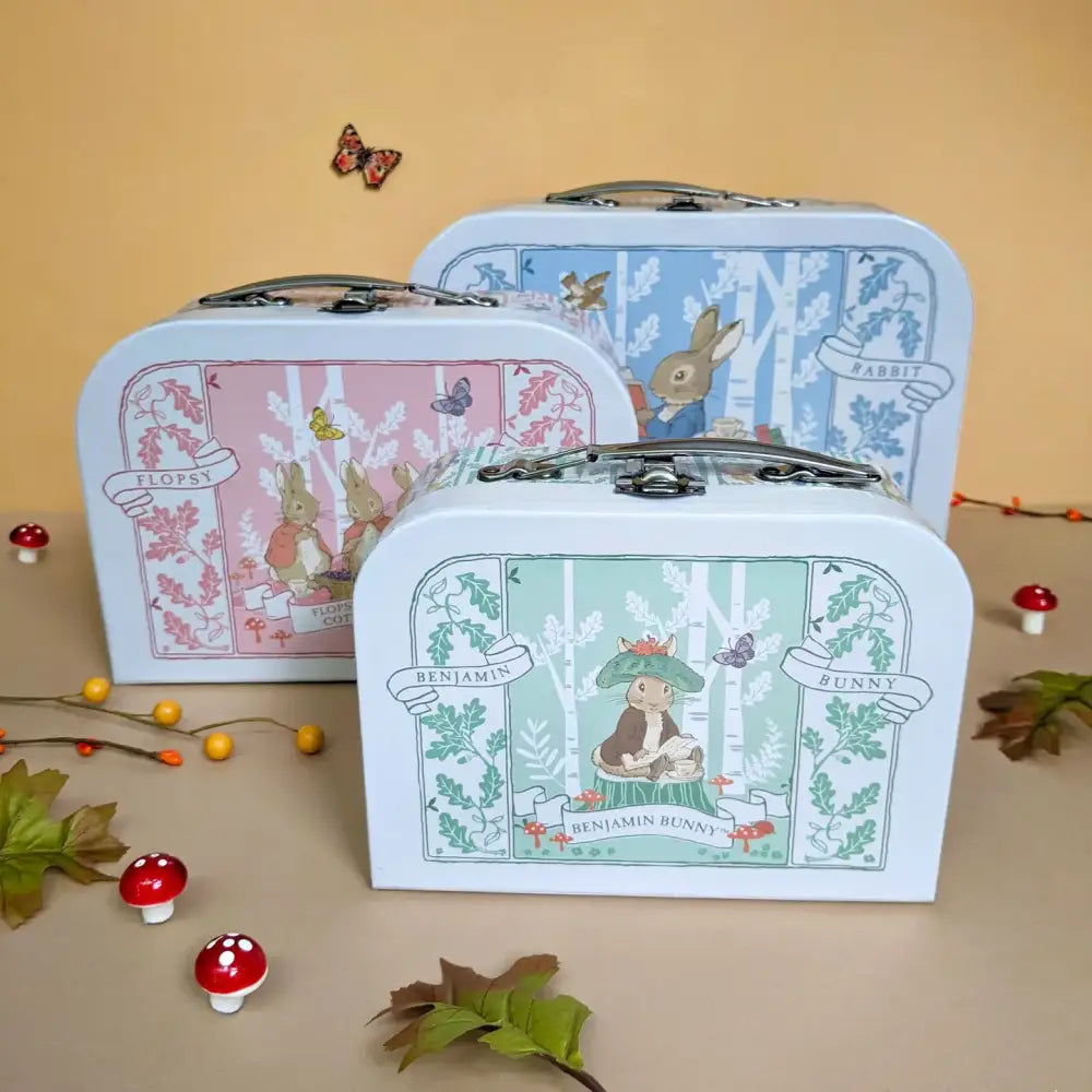 Beatrix Potter Carry Case Triple Set - 3 Sizes