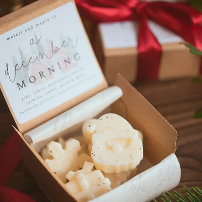 Box of 7 Christmas Shaped Wax Melts