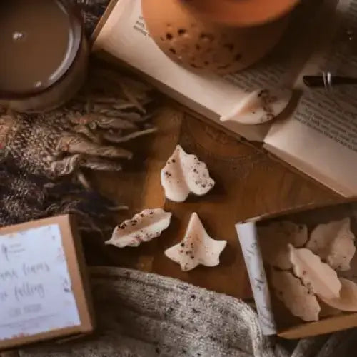 Box of Autumn Shaped Wax Melts