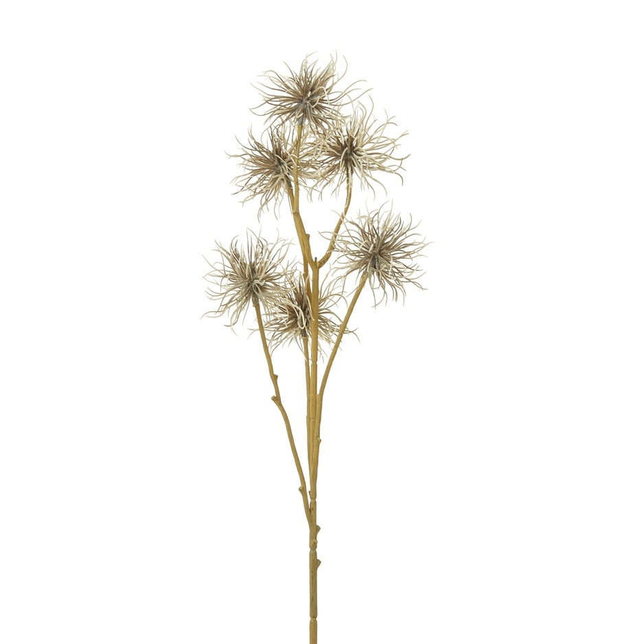 Brown Xanthium Spray