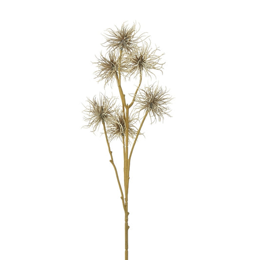Brown Xanthium Spray