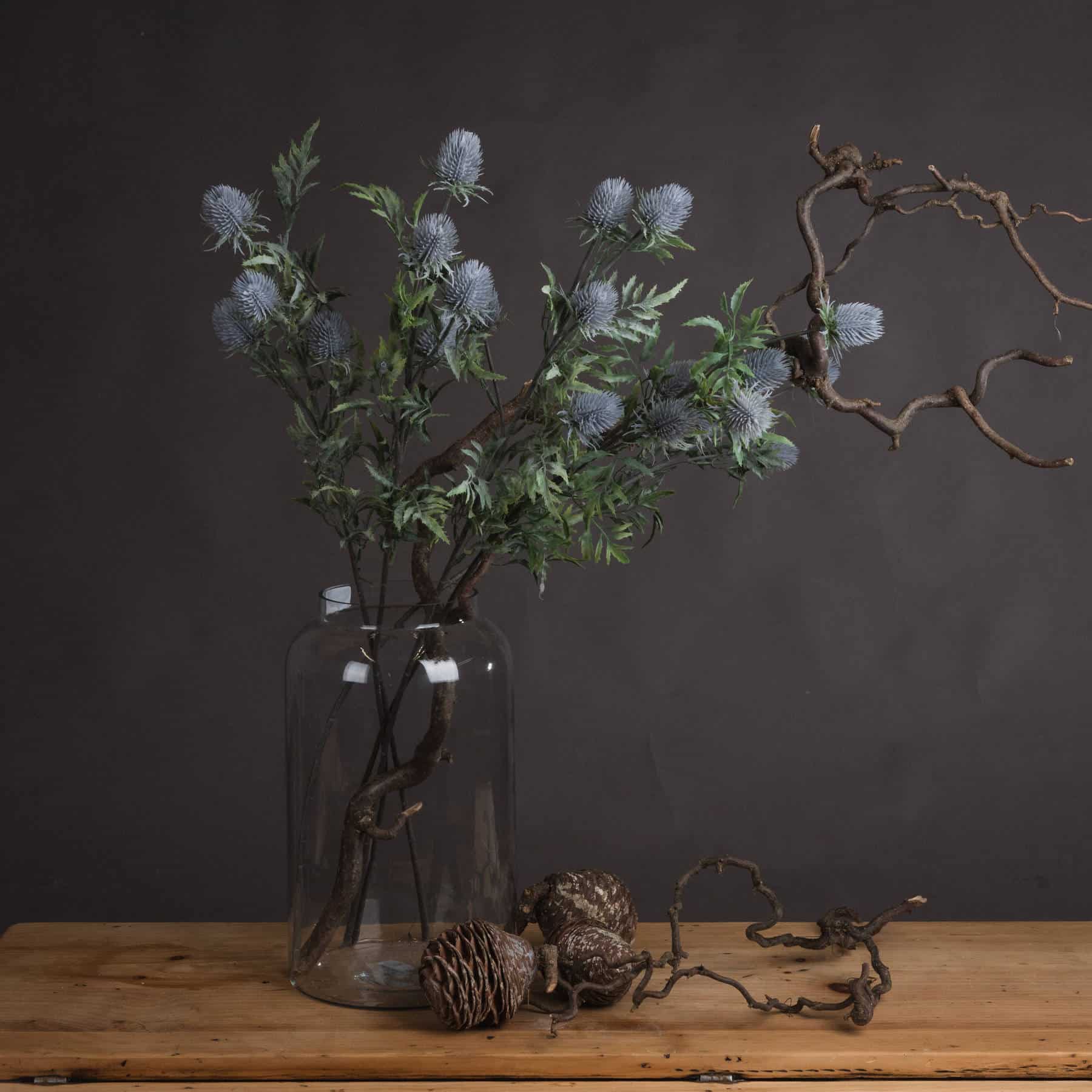 Eryngium Blue Thistle image 0