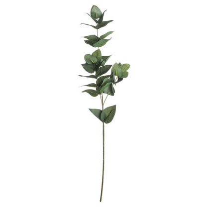 Eucalyptus Filler image 3