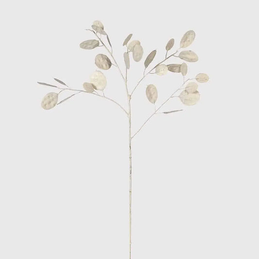 Cream Honesty Spray image 1